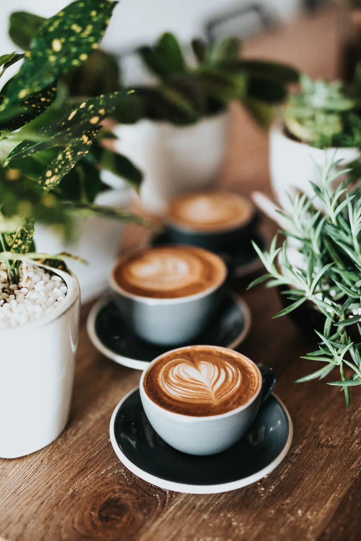 Lavender latte