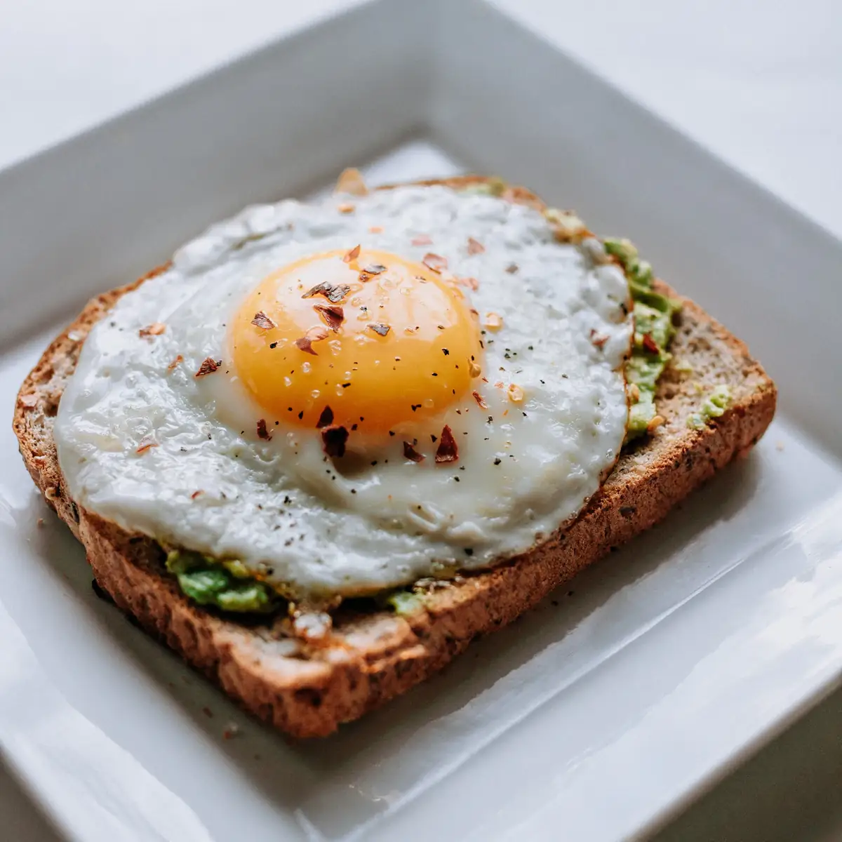Avokado tost