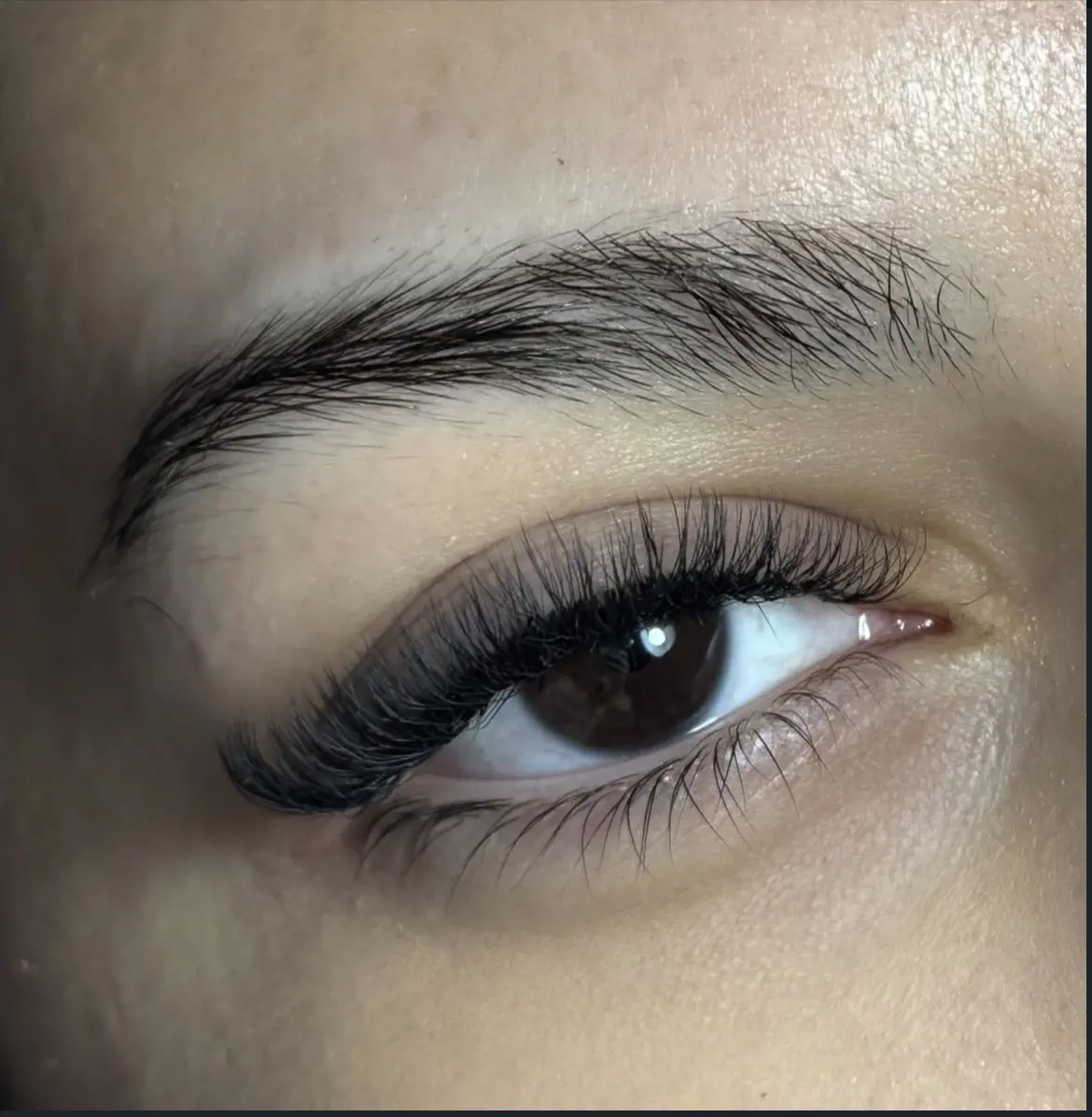 3D Cat Eye svilene trepavice